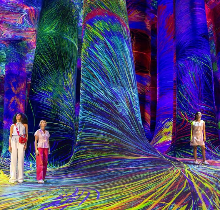 teamLab Phenomena Abu Dhabi immersive art museum near Sei Saadiyat 2 by Aldar on Saadiyat Island, Abu Dhabi — reference institutional imagery